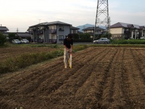 塩屋農場2016